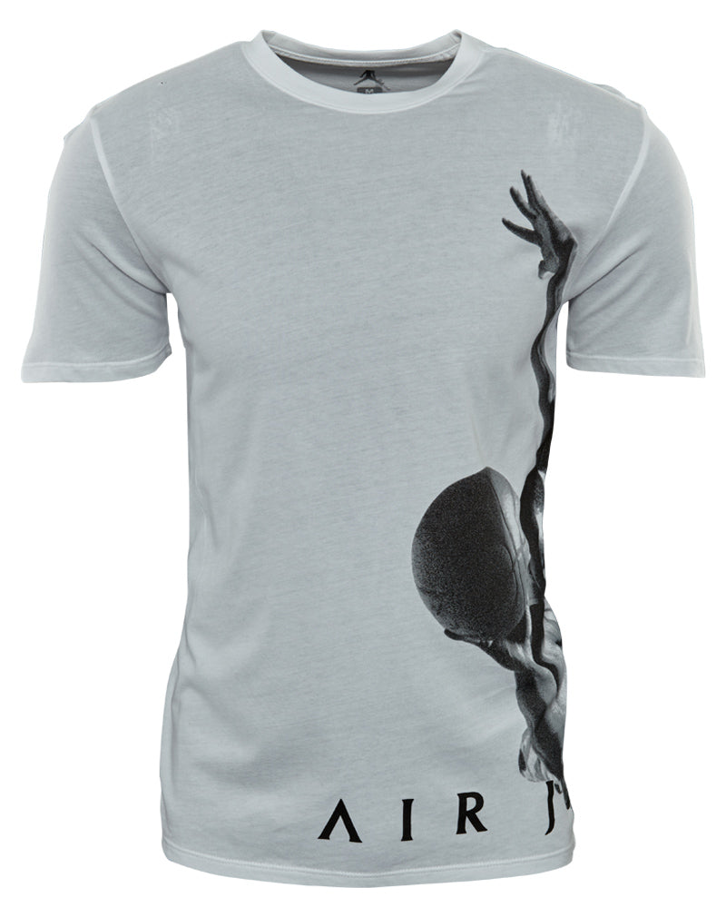 Jordan Flying Dreams Men's T-shirt Mens Style : 801062